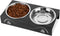 Elevated Cat Bowls, 5° Tilted Raised Metal Bowl with 2 Thick Stainless Steel 13.5 oz Bowls