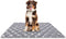 Dog Crate Mat, Ultra Soft Washable Dog Bed Mat with Anti-Slip Bottom, Cute Prints, 59" X 35"