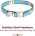 Lionet Paws Boy Dog Collar with Bowtie - Comfortable Adjustable Cute Blue Plaid Collar for Male Dogs, Small (Neck 10-16