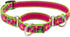 Lupine Martingale Dog Collar, 3/4" wide Petunias, Adjusts from 14" to 20"