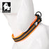 Truelove Dog Collar, Reflective Premium Duraflex Buckle, High Grade Nylon Webbing, No Choke, Orange, XS
