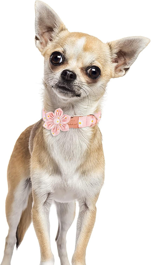 Adjustable Cotton Dog Collar with Pink Daisy Flower Tie, Safety Metal Buckle for Small Medium Large Dogs, Neck 10"-16"