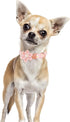 Adjustable Cotton Dog Collar with Pink Daisy Flower Tie, Safety Metal Buckle for Small Medium Large Dogs, Neck 10"-16"