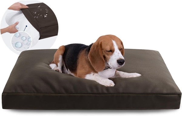 Miguel Waterproof Dog Bed with Removable Washable Cover, 14 Ounce Canvas Dog Pillow for Large Medium Small Dogs, 35 x