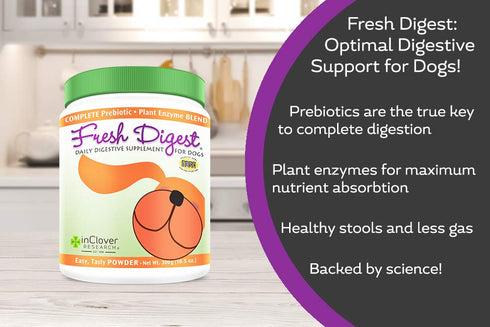 Fresh Digest Daily Digestive Aid and Immune Support Supplement for Dogs, In Clover, 100 gram (3.5 oz.), All Natural