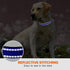 Taglory Adjustable Reflective Dog Collar with Safety Locking Buckle, Nylon Pet Collars for Large Dogs, Navy Blue, L