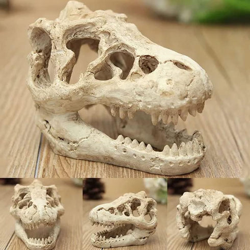 Opexicos 2Pcs Resin Dinosaur Skull Aquarium Decoration - 8.5 x 5.5 x 4.5 cm Terrarium Reptile Ornament
