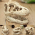 Opexicos 2Pcs Resin Dinosaur Skull Aquarium Decoration - 8.5 x 5.5 x 4.5 cm Terrarium Reptile Ornament