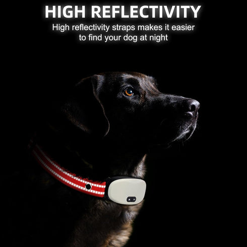 Collar Replacement Strap, Reflective Replacement Nylon Collar Strap Dog GPS Training Bark Receiver Collars, Durable
