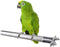 Bird Perch Stainless Steel Stand - Parrot Rod for Grinding Claws, Trimming Beak Nails, Exercise Platform (S)