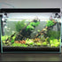 PINVNBY Natural Large Driftwood for Aquarium, Assorted Branches for Reptile Terrarium Decor