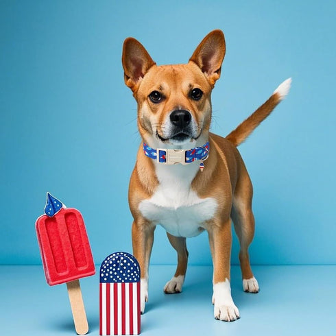 4th Lionet Paws of July Dog Collar- Cute Blue Red Popsicle Dog Collars with Plastic Buckle and Icecream Pendant, Light
