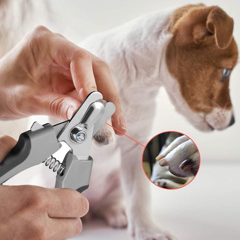 Tpotato Dog Nail Clippers, Dog Nail Trimmers for Large Breed with Quick Sensor, Professional Cat Nail Clipper