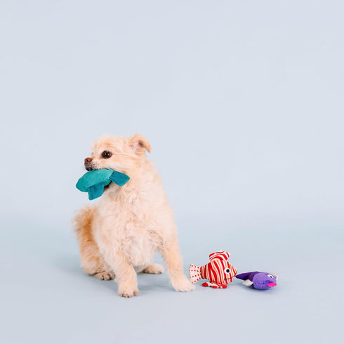 Fringe Studio Plush Dog Toy Set, Any Fin is Possible, Small 3 Piece Pet Shop Collection (662084)