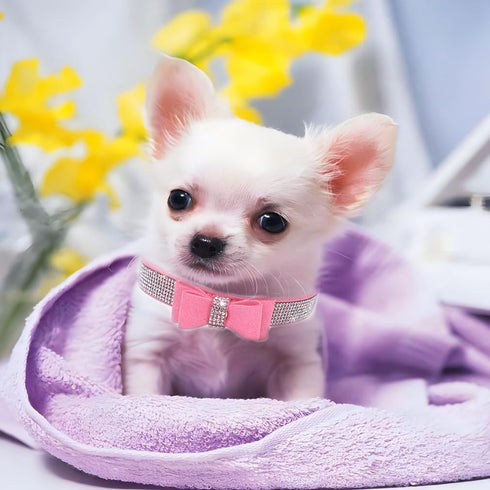 Rhinestone Dog Collar for Small Dogs, Adjustable Diamond Pet Collar with Bow, Bling Crystal for XXS XS Small Medium