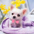 Rhinestone Dog Collar for Small Dogs, Adjustable Diamond Pet Collar with Bow, Bling Crystal for XXS XS Small Medium