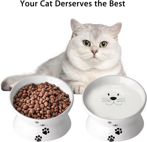 Cat Food Bowls, 10 OZ Elevated Bowls for Cats and Small Dogs, Tilted Feeder with Raised Stand, 1pcs