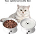 Cat Food Bowls, 10 OZ Elevated Bowls for Cats and Small Dogs, Tilted Feeder with Raised Stand, 1pcs