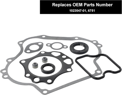 Roykaw Golf Cart Gaskets and Seals Rebuild Kit | Compatible with Club Car DS/Precedent 1992-up FE290 Engine Gas Models