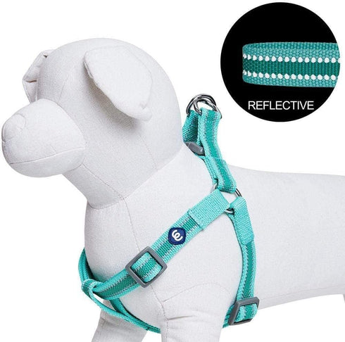 Blueberry Pet Essentials Step-in Reflective Dog Harness, Minty Green, Adjustable Small Harness for Dogs, Chest Girth