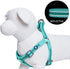 Blueberry Pet Essentials Step-in Reflective Dog Harness, Minty Green, Adjustable Small Harness for Dogs, Chest Girth