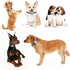 Cute Adjustable Dog Collar for XS, Small, Medium, Large Dogs, Soft Nylon with 3D Print Multicolor Patterns for Girls,