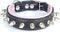 Bestia Spiky Collar with Blunt Screw Tips, 1" Wide Soft Padded Leather for Small Dog Breeds or Puppies, Handmade in