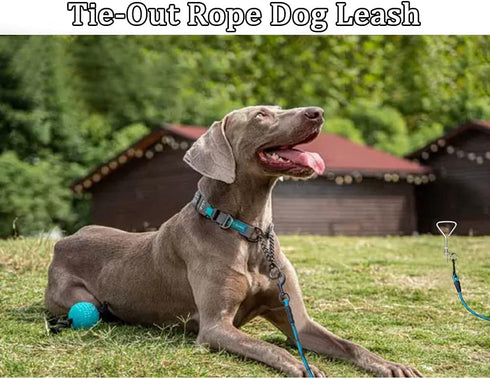 MayPaw 8FT/10FT Dog Tie Out/Check Cord, Heavy Duty Nylon Rope Training Leash for Strong Dogs (3/8 in x 10ft, Blue Black)