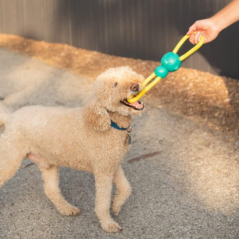 ZippyPaws RopeTugz - Pink Durable Dog Toy for Aggressive Chewers, Squeaky Chew Toy for Tug of War