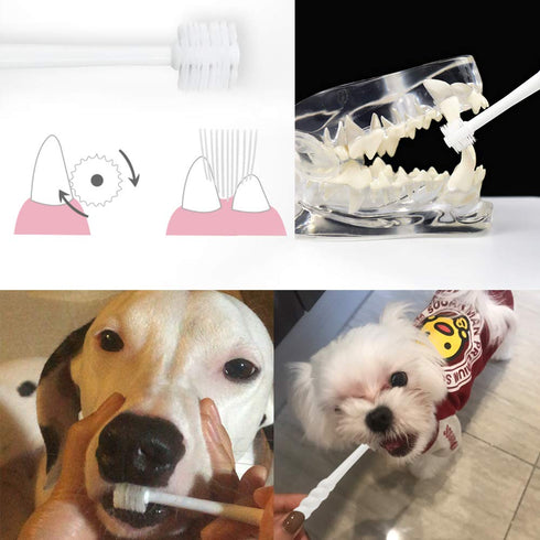 360-Degree Soft Yorkie Toothbrush, Small Dogs Puppy Toothbrush (Colors Vary)