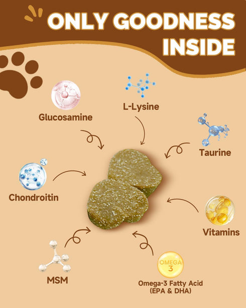 Immune 13 Mushrooms for Dogs - Turkey Tail Mushroom for Dogs - Gut, Skin, Joint, Health- Dog Lumps & Bumps - Organic