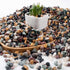 AVALUTION Aquarium Gravel for Plants -7lb Fish Tank Gravel for Succulent Cactus