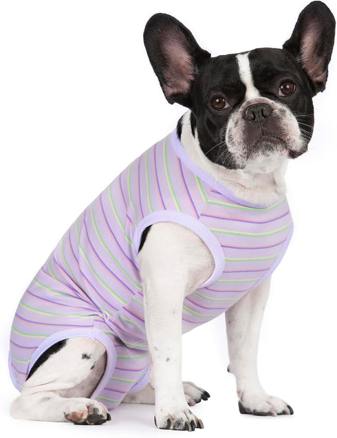 Puppy Striped Recovery Suit for Dogs and Cats - Zip Up Onesie for Abdominal Wounds, Professional Spay Neuter Bodysuit