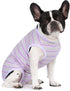 Puppy Striped Recovery Suit for Dogs and Cats - Zip Up Onesie for Abdominal Wounds, Professional Spay Neuter Bodysuit