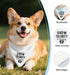 Vgrti Baby Security in Training Funny Dog Bandana Pregnancy Announcement, Pregnancy Dog Bandana, Pet Scarf Accessories