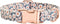 Cotton Dog Collar, Metal Buckle Daisy Summer Design, Cute Adjustable Soft Collar for Small Medium Large Boys Girls Dogs