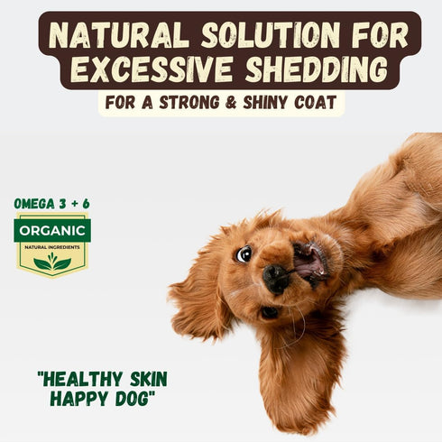 3 Deshedding Dog Shampoo Bar for Shedding Control, Natural Ingredients with Coconut Oil & Shea Butter | No Plastic