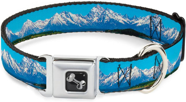 Dog Collar Seatbelt Buckle, 1.5" Wide, Fits 18-32" Neck, Large