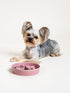 Ceramic Slow Feeder Dog Bowls for Small Breed, 0.5 Cups Puzzle Bowl for Fast Eaters, 5.5 Inch-Pink