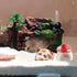 DQITJ 4 Pack Jumping Spider Mini Mushroom Decor Hermit Crab Cute Hide Decor for Hermit Crab Spider Snail Ant Millipede