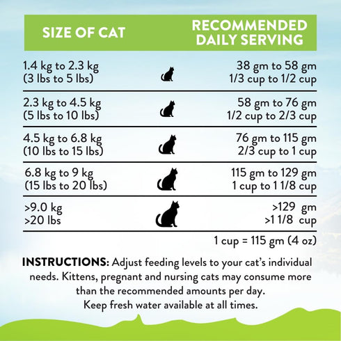 Addiction Viva Venison Cat Grain Free Dry Cat Food, Complete Balanced Recipe for Healthy Digestion, 4 lb (2 Packs)