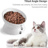 Cat Food Bowls, 10 OZ Elevated Bowls for Cats and Small Dogs, Tilted Feeder with Raised Stand, 1pcs