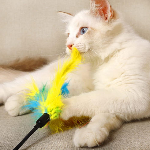IUHKBH Cat Wands - 6 PCS Colorful Feather Stick Flexible Kitten Wand Interactive Cat Toys for Your Kitty