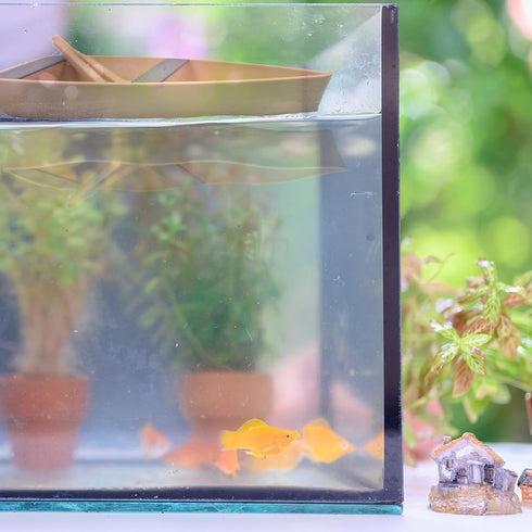 Chatelet Decorative Floating Toy Boat for Aquariums | Rowboat for Aquariums | Fish Shrimp or Snail Aquarium Boat Decor