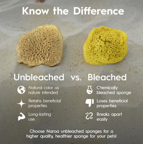 Natural Hermit Crab Sponges, 5 Pack Unbleached Sea Sponge for Water Drinking Safety and Humidity Balance