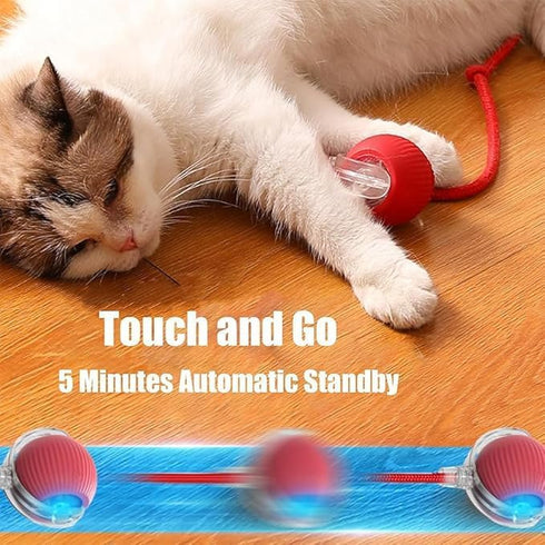 AUTRETY 2025 Toy,360 New Electric Dog Ball Smart Automatic Interactive Rolling Dog Ball, Smart Pet Toy Ball,Interactive
