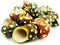 Florida Shells and Gifts Set of 12 Large Spotted Turbo Shells Seashell 2"+ Size (7/8"-1 1/8"