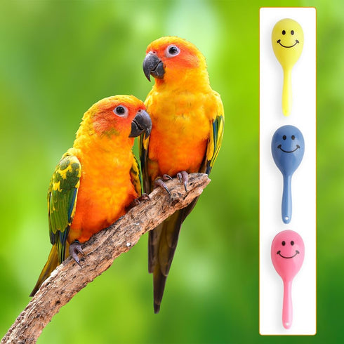 DQITJ 9 Hammer Hammer Pcs Colourful Mini Ball Sand Parrot Rattle Shaker Musical Sound Toy Intelligent Sand Foot Toy