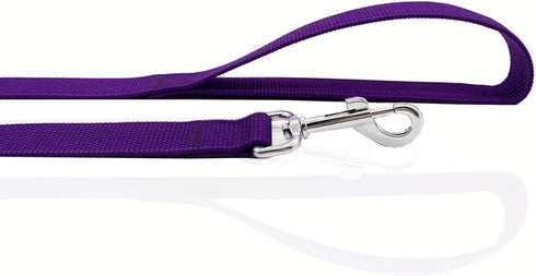 16 Feet Long Nylon Dog Leash, Walking Training Leash for Medium Large Dogs (1" X 16 ft, Purple)