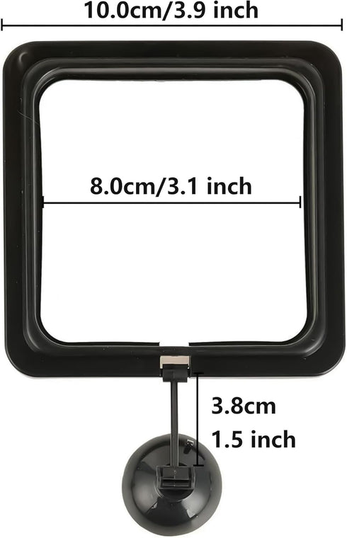 FREESEA Fish Feeding Ring for Aquarium: Square Betta Floating Feeding Ring for Fish tank